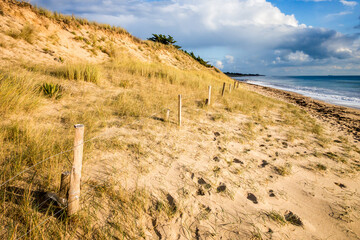 Sand dune and fence on a beach at sunset. Re Island