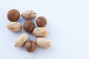 brazil nut and macadamia on a white background with space for text