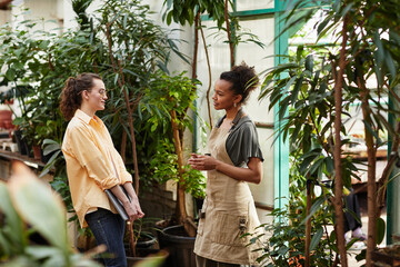 Young confident manager of floral shop or orangerie talking to female worker or florist in apron and t-shirt between tree-like plants