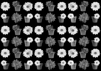 Fototapeta na wymiar Natural flowers pattern in monochrome.Flat lay, top view