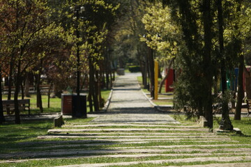 Yellow and  white tulips, pink tulips red tulips  and Flowers spring season  Istanbul Walking path spring in the  Emirgan park