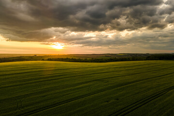 Aerial landscape view of green cultivated agricultural fields with growing crops on bright summer evening