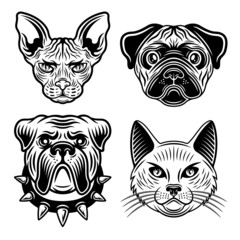 Animals set of vector objects in vintage black and white style. Bulldog and pug dog, sphynx cat and domestic cat