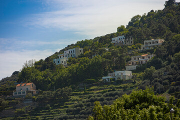 Collina ligure