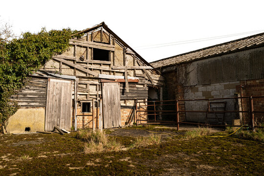 Abandoned old dairy parlour showing the timber built structure. The closed sliding doors allowed cows to enter, prior to milking.