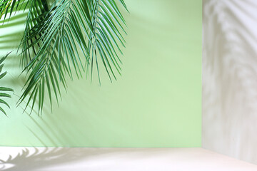 Empty showcase for display or presentation of cosmetic products, stage for design, abstract background with palm leaves and long shadows, modern creative display,