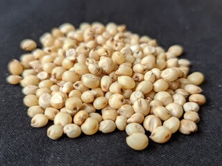 Sourghum seeds or jawar crop field seeds in farmers, 