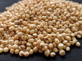Sourghum seeds or jawar crop field seeds in farmers, 