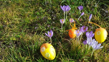 Easter eggs are ready to get found