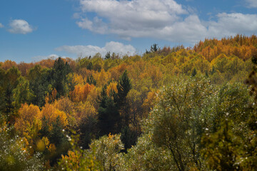 Fototapeta premium Wonderful lake view in the autumn forest. Reflection. Selective focus. High quality photo Ankara, Cubuk, Karagol