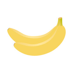 two banana isolated on white background, vector illustration