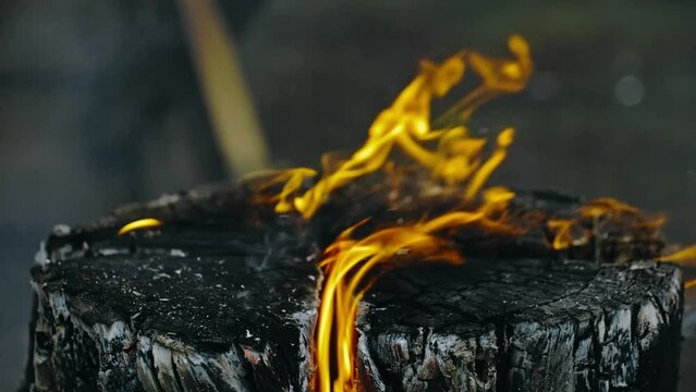 Swedish or finnish log candle. Fire burning from inside the wooden log at day. Cooking on a fire. Cooking in cauldron on Finnish (Swedish) log stove.