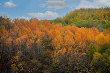 Fototapeta premium Wonderful lake view in the autumn forest. Reflection. Selective focus. High quality photo Ankara, Cubuk, Karagol