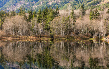 Fall colour reflected in the still waters in Provincial Park, Canada. Autumn forest lake nature landscape