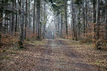 Obraz premium Romainmôtier