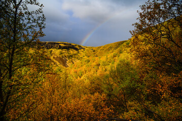 A rainbow above the fall foliage of the enchanting Thor's Woods, on the hike back from the summit of Mt. Valahnúkur, Thórsmörk National Park, Iceland