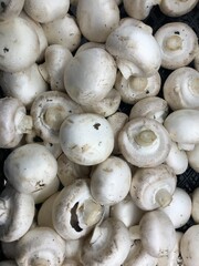 mushrooms on a market stall