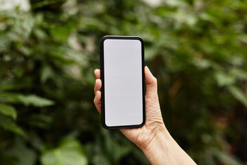 Close-up shot of female hand holding smartphone against green vegetation during work in large modern greenhouse or orangerie