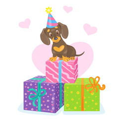 Funny dachshund puppy in a festive cap sits on colorful gift boxes. In cartoon style. Separate on a white background. Vector illustration