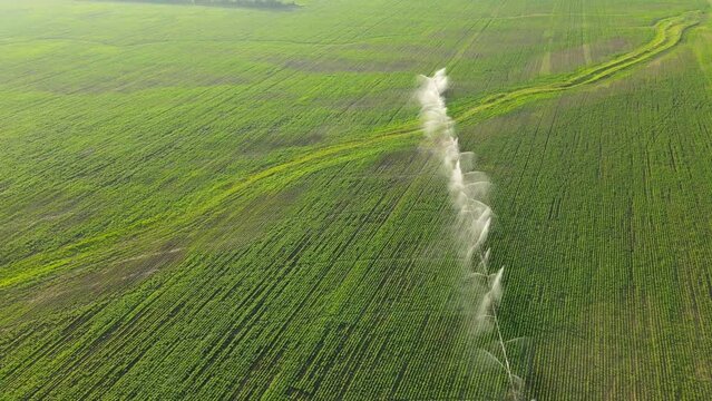 Pivot irrigation system. Agriculture. Aerial view