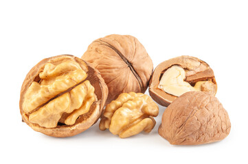 fresh kernels, broken and whole walnuts close-up isolated on white background