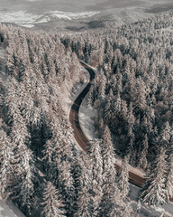 Winter vibes and road in forest