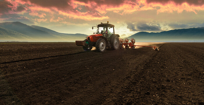 Fototapeta Farmer with tractor seeding
