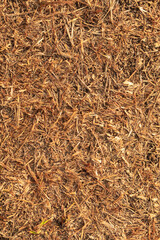 Mud Texture Image of soil