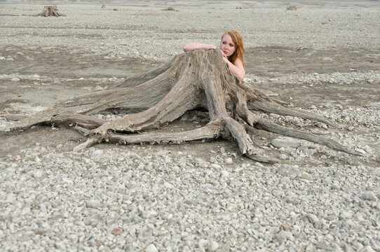 beautiful young sexy redhead woman hides sensually sensitive seductively behind a withered tree stump in the dry Forggensee