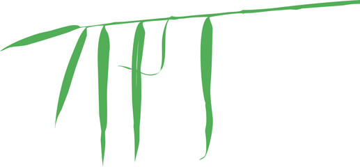 Vecteur de feuilles et tiges de bambous sur fond transparent