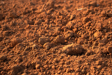 Mud Texture Image of soil