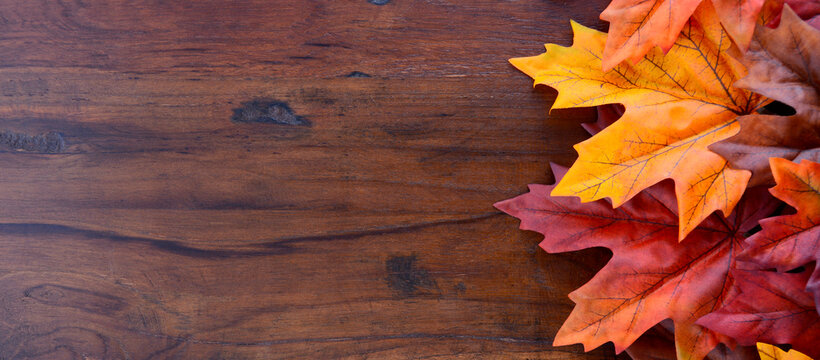 Autumn Fall background for Thanksgiving or Halloween with leaves and decorations on rustic wood table with copy space for your text here. Sized to fit popular social media and web banner.