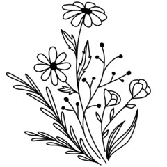 Полевые цветы и трава, букет ромашек, растения луговые