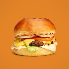 hamburger isolate on color background front view