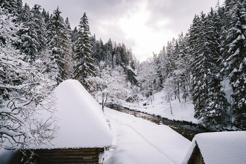 Snow covered and frozen wooden cabins in the middle of mountain (forest) with stream on background...