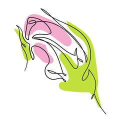 Vector one line illustration of a stylized rosebud with pink and light green color shapes. Floral element for invitation, label or fashion design. - obrazy, fototapety, plakaty