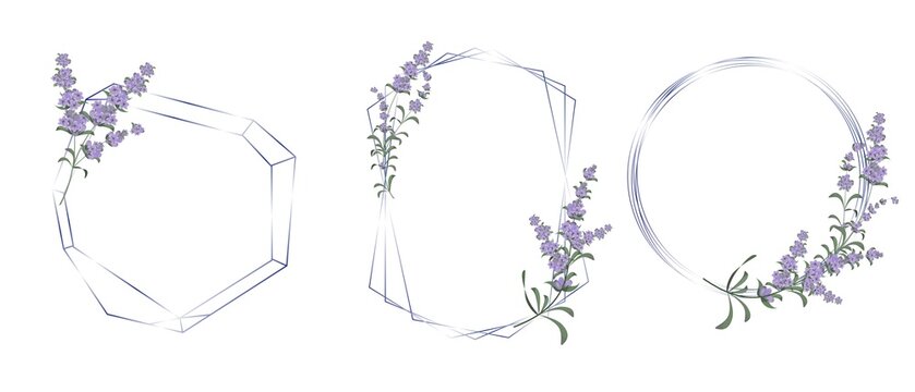 Vector floral set. Different polygonal and round frames, lavender flowers.