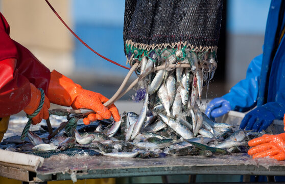 p&ecirc;che industrielle