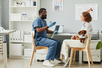 Young confident veterinarian giving medical advice to female pet owner holding cute purebred dachshund on hands - obrazy, fototapety, plakaty