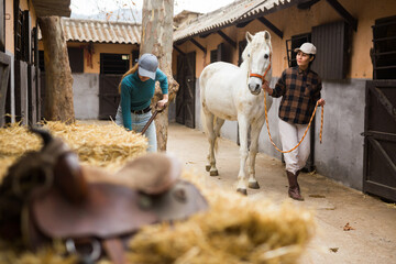 Asian woman stable keeper leading white horse along stalls outdoor while young female worker...