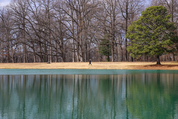 a still green lake in the park surrounded by bare winter trees, lush green trees and yellow winter...