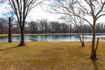 a still green lake in the park surrounded by yellow winter grass and lush green and bare winter...