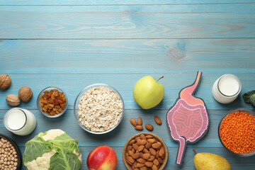 Layout of gastrointestinal tract model and products to help digestion on turquoise wooden table, top view. Space for text