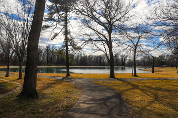 a shot of a still green lake surrounded by yellow winter grass in the park with bare winter trees...