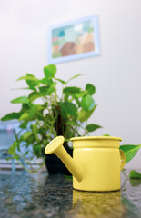 Yellow watering can on a table with a plant on the side.  On the wall, a mosaic created digitally to simulate a painting.