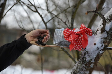 A person holding seeds in his hand filling a bird feeder decorated with a bright red bow in the...