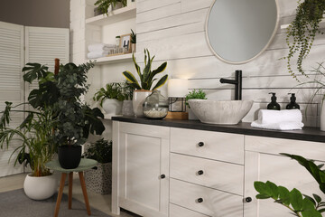 Stylish bathroom interior with vessel sink and beautiful plants