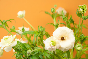 Beautiful fresh butterfly ranunculus flower bunch