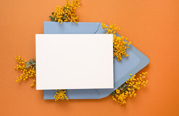 Floral flat lay blank stationery card and envelope background with mimosa flowers on yellow background