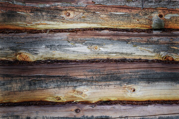 Wall of wooden logs background natural light